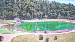 Borek Swimming Pool