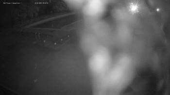 Snímek    13.10.2025 v 19:00
