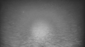 Snímek    15.9.2025 v 05:03