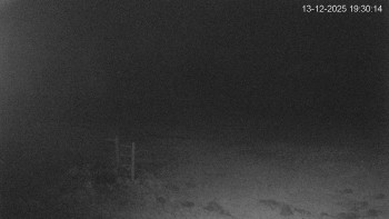 Černá v Pošumaví