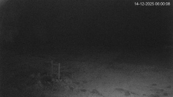 Černá v Pošumaví