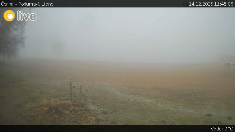 Černá v Pošumaví - Lipno - 14.12.2025 v 11:45