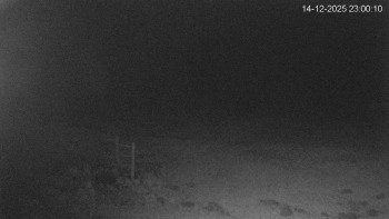 Černá v Pošumaví