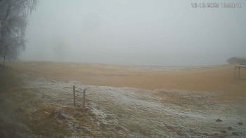 Černá v Pošumaví