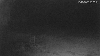 Černá v Pošumaví