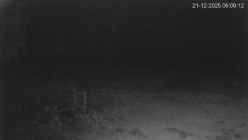 Černá v Pošumaví