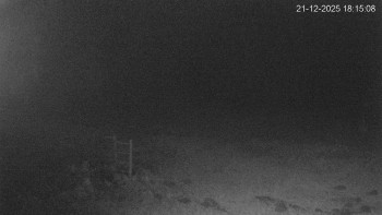 Černá v Pošumaví