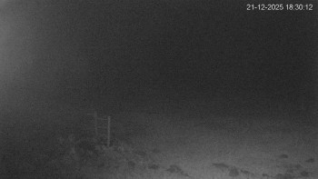 Černá v Pošumaví