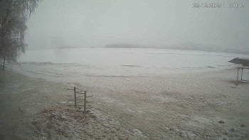 Černá v Pošumaví