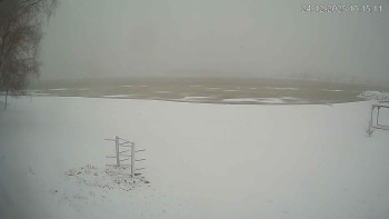 Černá v Pošumaví