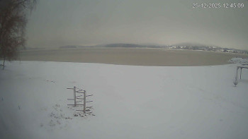 Černá v Pošumaví