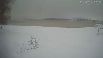 Černá v Pošumaví