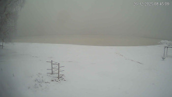 Černá v Pošumaví