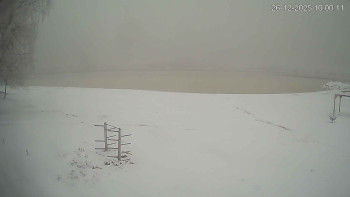 Černá v Pošumaví