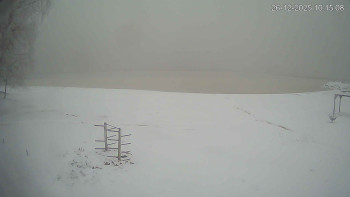 Černá v Pošumaví