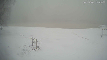 Černá v Pošumaví