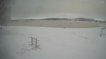 Černá v Pošumaví