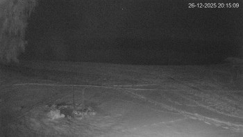 Černá v Pošumaví