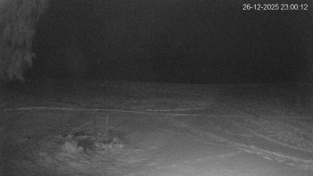 Černá v Pošumaví