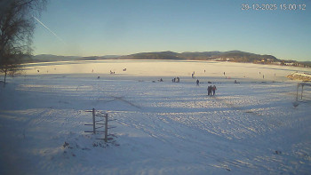 Černá v Pošumaví