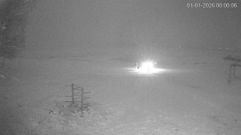 Černá v Pošumaví