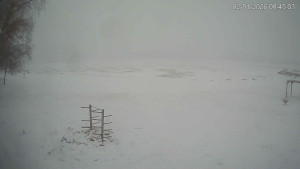 Černá v Pošumaví - Lipno - 2.1.2026 v 08:45