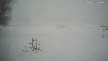 Černá v Pošumaví