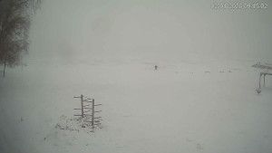 Černá v Pošumaví - Lipno - 2.1.2026 v 09:15