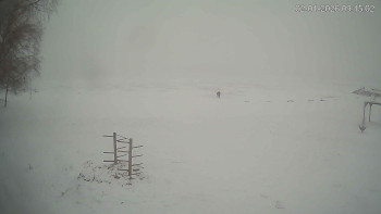 Černá v Pošumaví