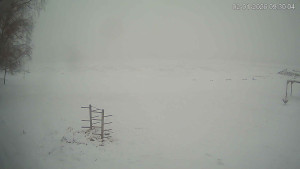 Černá v Pošumaví - Lipno - 2.1.2026 v 09:30