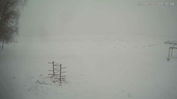 Černá v Pošumaví