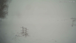 Černá v Pošumaví - Lipno - 2.1.2026 v 09:45