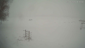 Černá v Pošumaví - Lipno - 2.1.2026 v 10:15