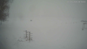 Černá v Pošumaví - Lipno - 2.1.2026 v 10:30