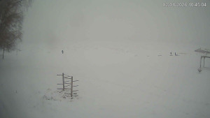 Černá v Pošumaví - Lipno - 2.1.2026 v 10:45