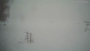 Černá v Pošumaví