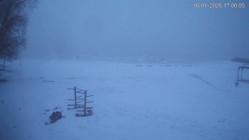 Černá v Pošumaví