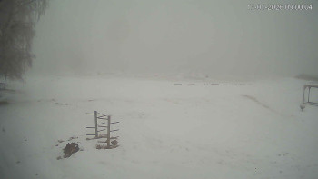 Černá v Pošumaví