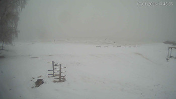 Černá v Pošumaví