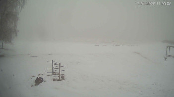 Černá v Pošumaví