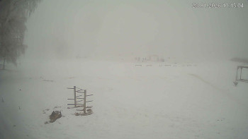 Černá v Pošumaví