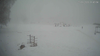 Černá v Pošumaví