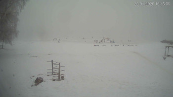 Černá v Pošumaví