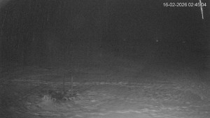 Černá v Pošumaví - Lipno - 16.2.2026 v 02:45 Černá v Pošumaví - Lipno - 16.2.2026 v 02:45