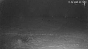 Černá v Pošumaví - Lipno - 16.2.2026 v 03:45 Černá v Pošumaví - Lipno - 16.2.2026 v 03:45