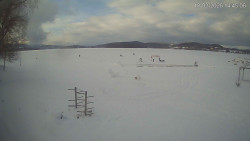 Lipno
