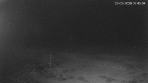 Černá v Pošumaví - Lipno - 25.2.2026 v 02:45