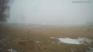 Černá v Pošumaví - Lipno - 25.2.2026 v 09:45