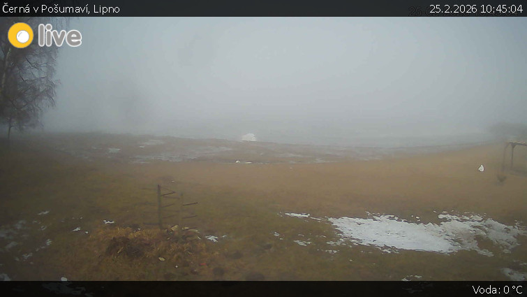 Černá v Pošumaví - Lipno - 25.2.2026 v 10:45