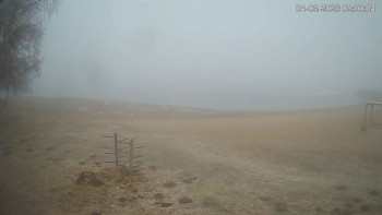 Černá v Pošumaví